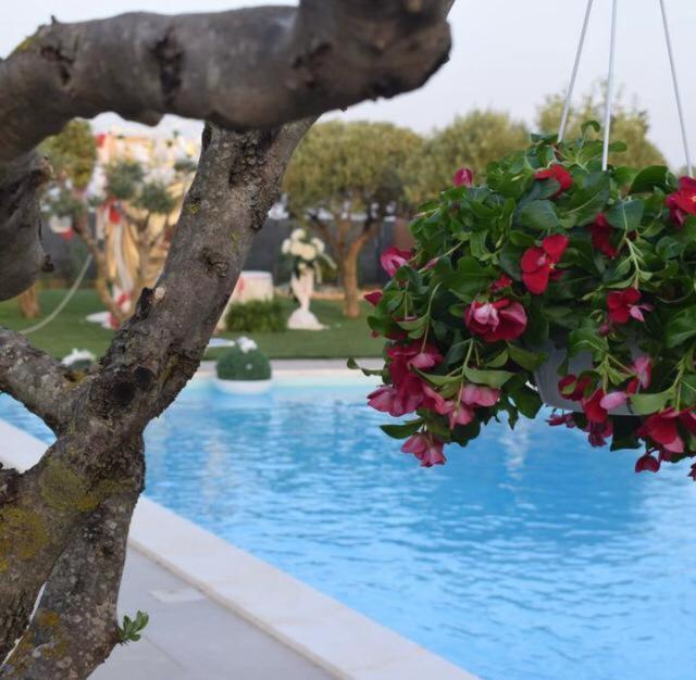 B&B Villa Antonella Piazza Armerina Buitenkant foto