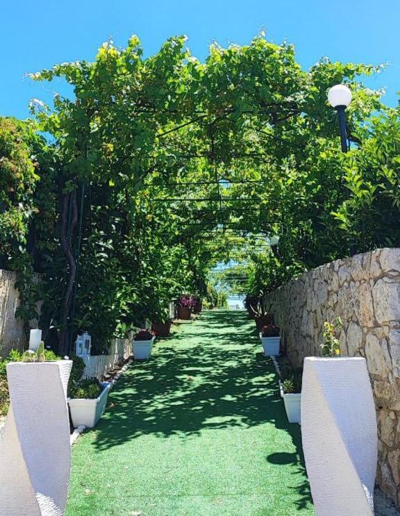 B&B Villa Antonella Piazza Armerina Buitenkant foto