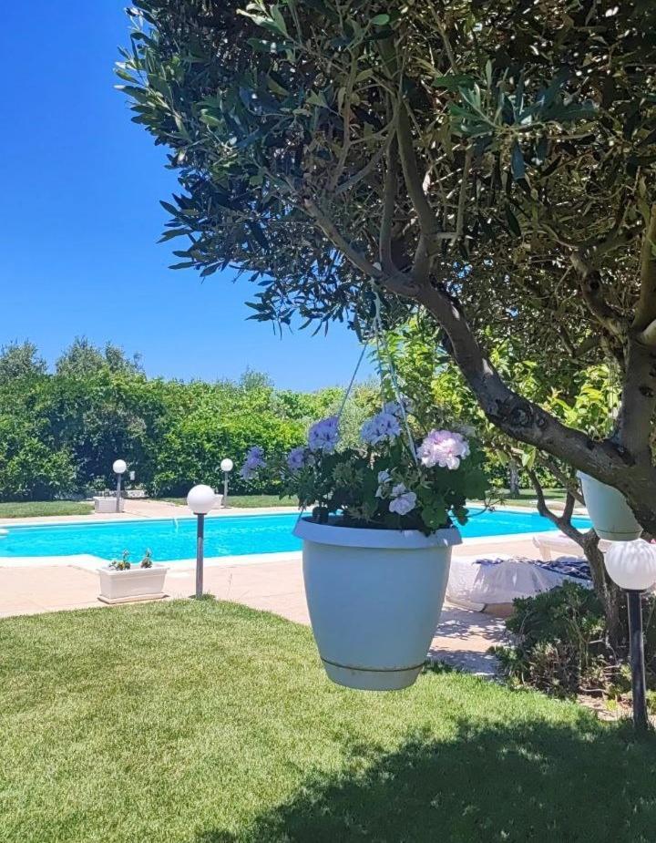 B&B Villa Antonella Piazza Armerina Buitenkant foto